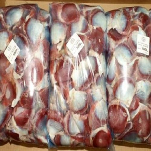 Gizzard-Box