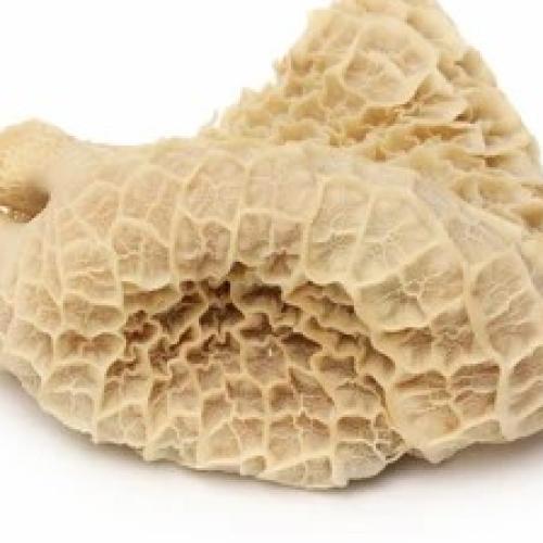Beef Tripe/Towel-Single