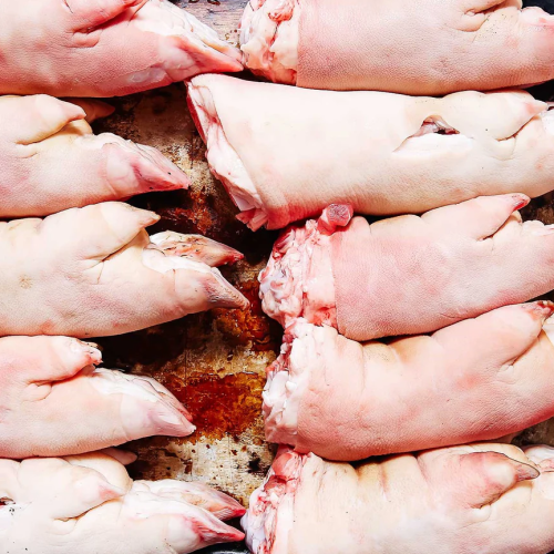 Pork feet