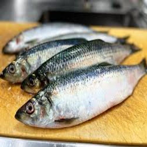 Herrings/Eban-Singles